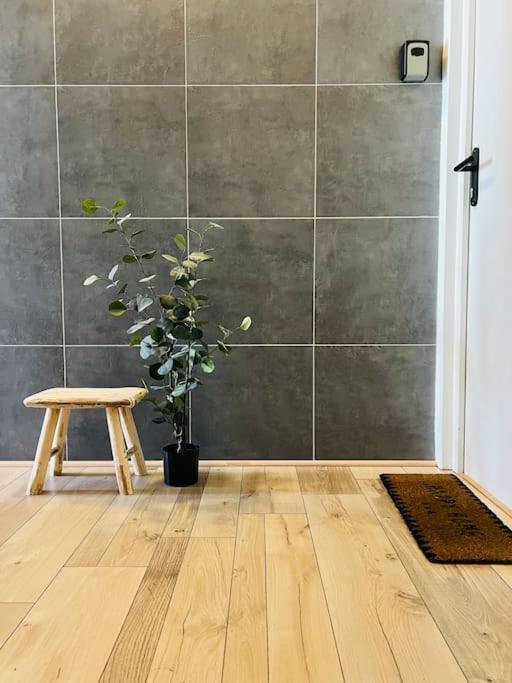 Apartment Girafe, Style Boheme Et Atypique, Curistes